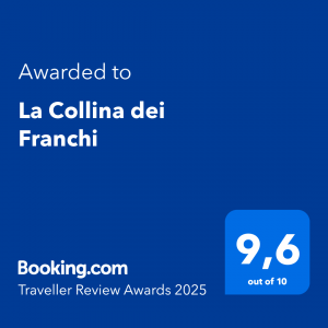 Booking Digital-Award-TRA-2025